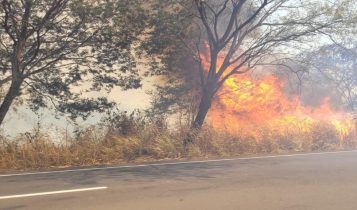 Decretos de situação de emergência por incêndios florestais subiram 193%, diz CNM