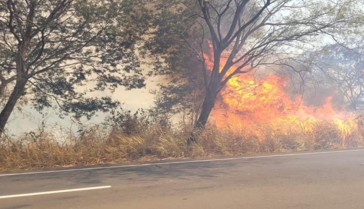 Decretos de situação de emergência por incêndios florestais subiram 193%, diz CNM