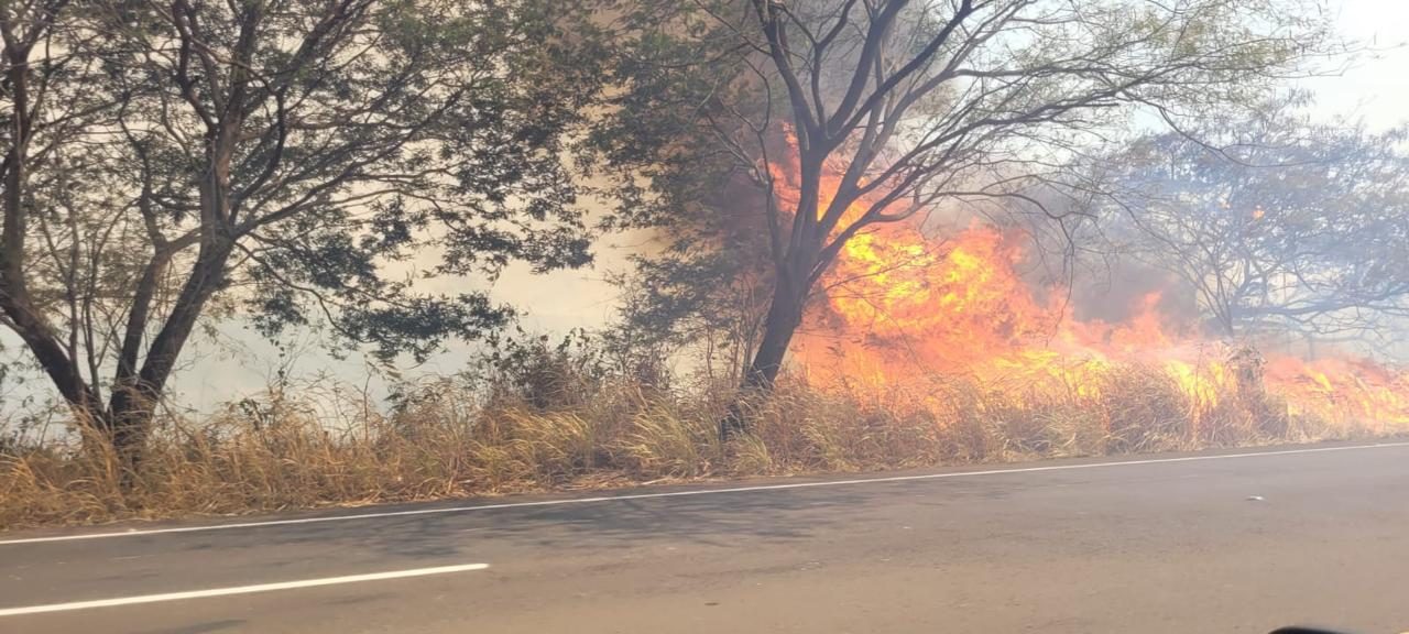 Decretos de situação de emergência por incêndios florestais subiram 193%, diz CNM