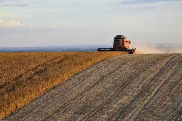 Está faltando soja no Brasil? Importação cresceu 703%