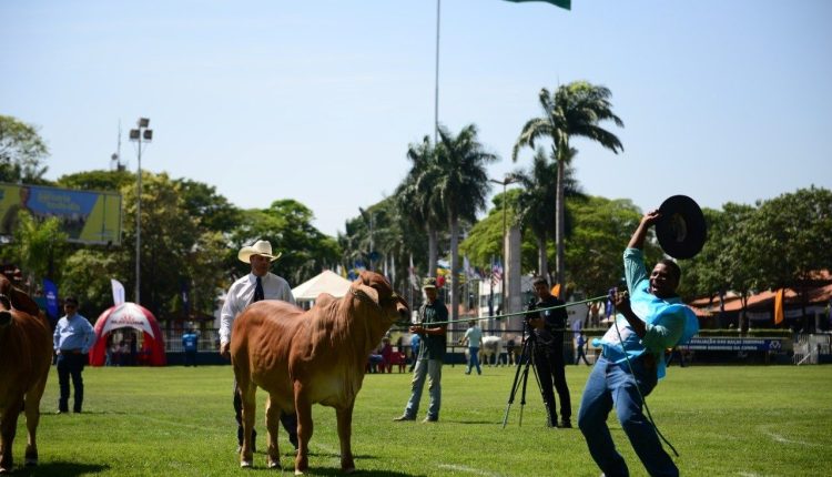 Abertas inscrições para ExpoBrahman 2024