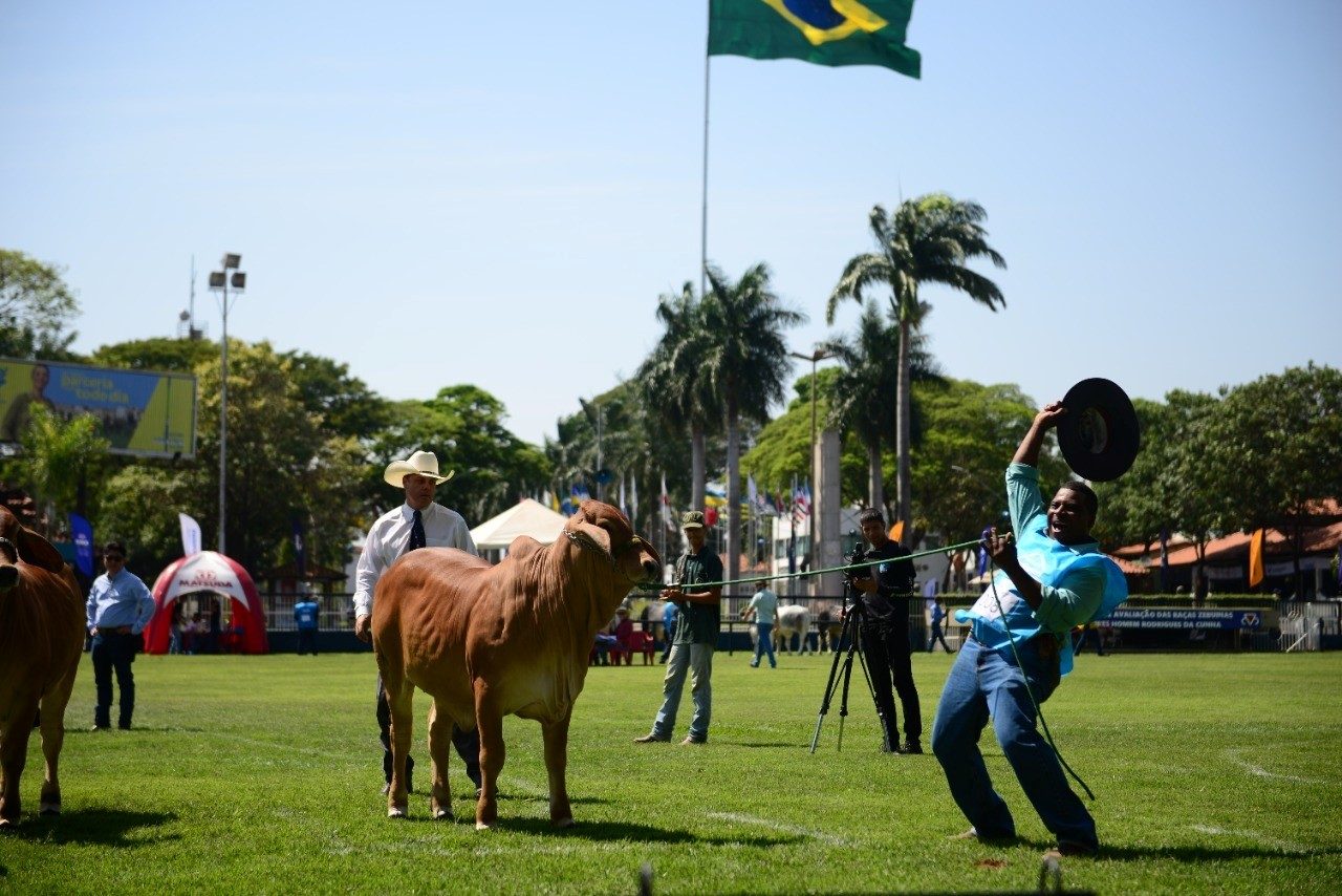 Abertas inscrições para ExpoBrahman 2024