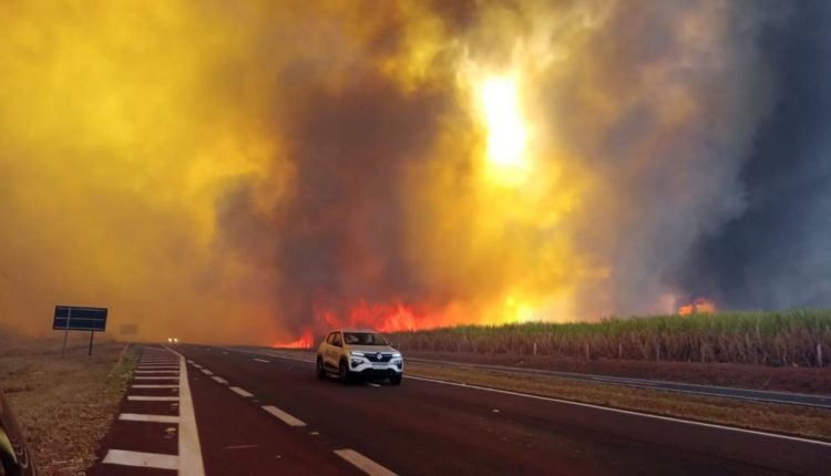 Mais de 80% dos focos de calor em SP estão em áreas de agropecuária