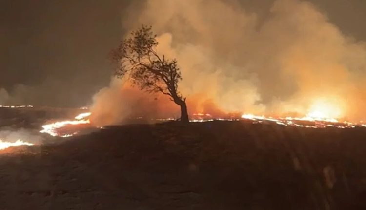 Safra de cana-de-açúcar no Centro-Oeste paulista pode cair 20% após incêndios