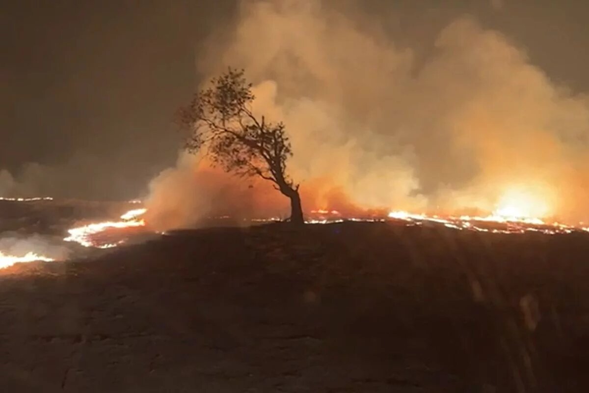 Safra de cana-de-açúcar no Centro-Oeste paulista pode cair 20% após incêndios