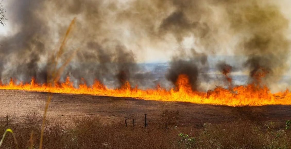 incendios no estado de sao paulo