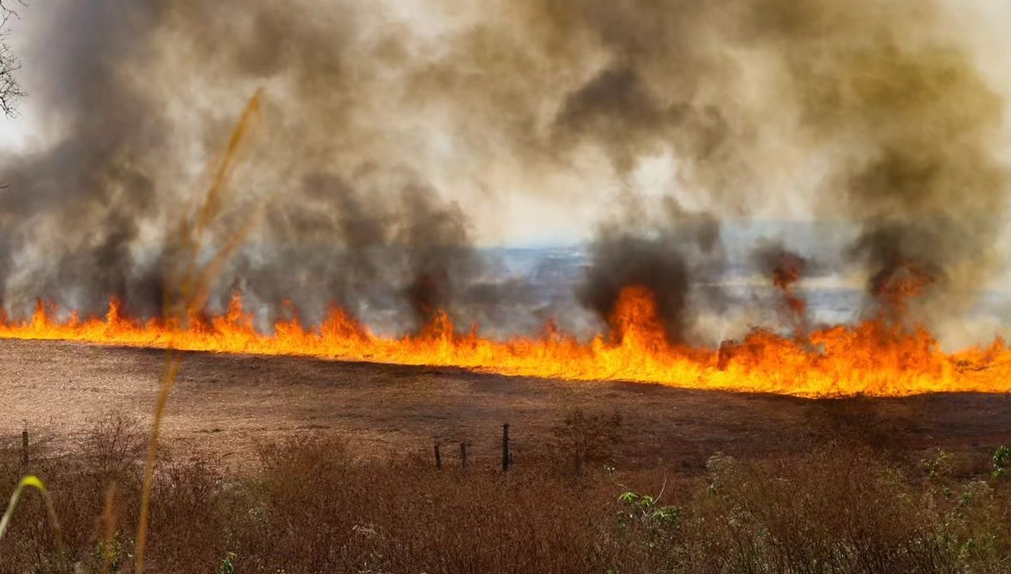 incendios no estado de sao paulo