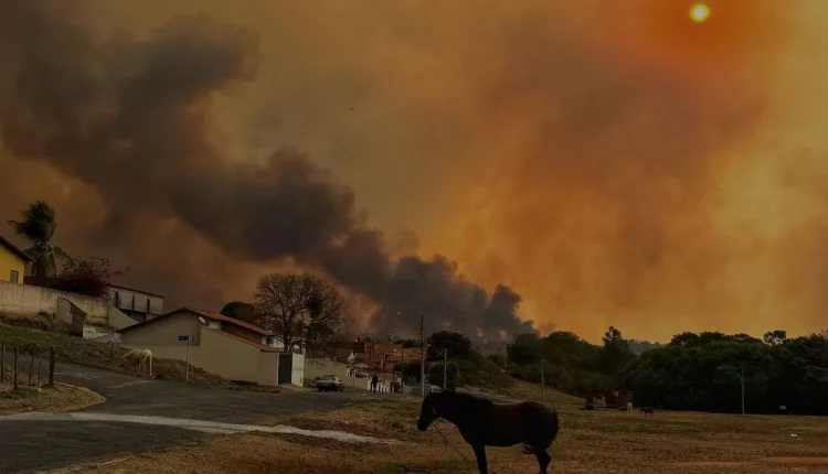 Incêndio atinge matas e canaviais de Poloni, no interior de São Paulo. Foto: Ayrton Vignola