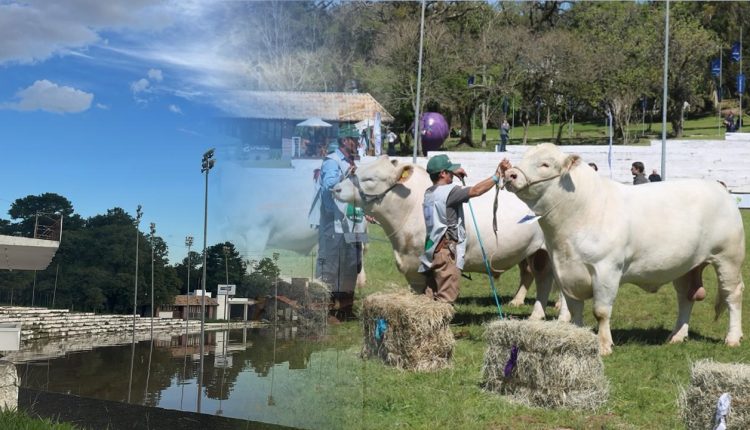 parque da expointer enchente 1