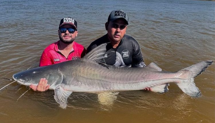 pesca esportica piraíba de 2 metros