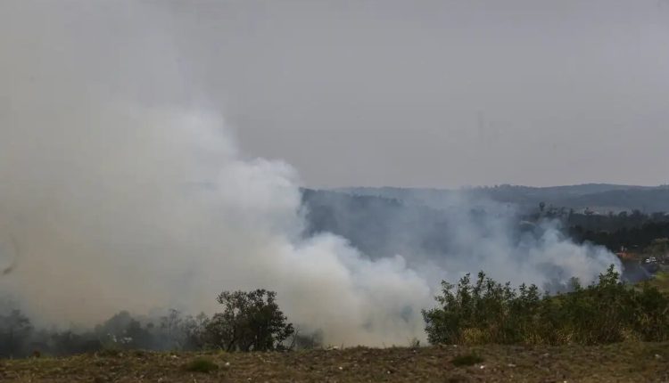 São Paulo: dois homens são presos por suspeita de incêndios criminosos