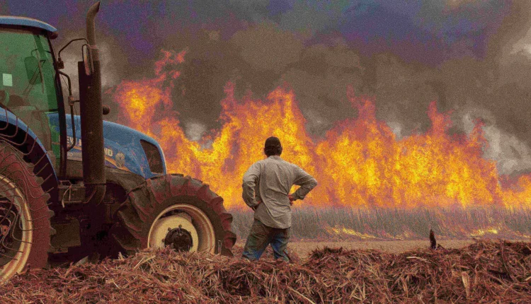 risco de incêndio em São Paulo