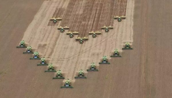 Conab: semeadura da soja 2025/26 atinge 97,6% da área; milho 1ª safra vai a 82%