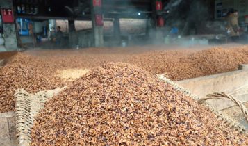 Anec revisa para baixo projeção de embarques de soja em grão e farelo em setembro