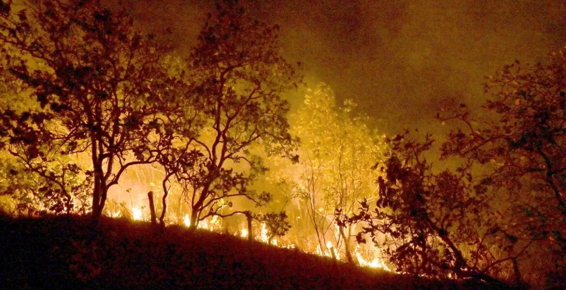 Queimadas persistem na Amazônia; cidades do PA superam mil focos