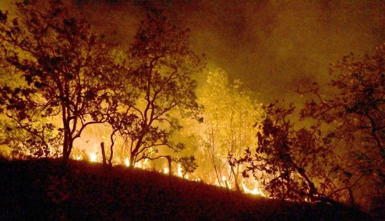 Queimadas persistem na Amazônia; cidades do PA superam mil focos