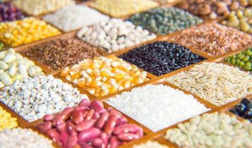 Valor Bruto da Produção atinge R$ 1,2 trilhão em agosto