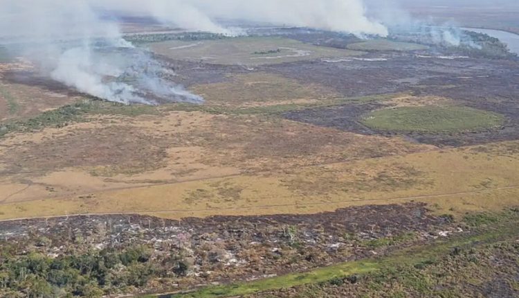 Suspeitos de incêndio criminoso no Pantanal são alvo de operação da PF