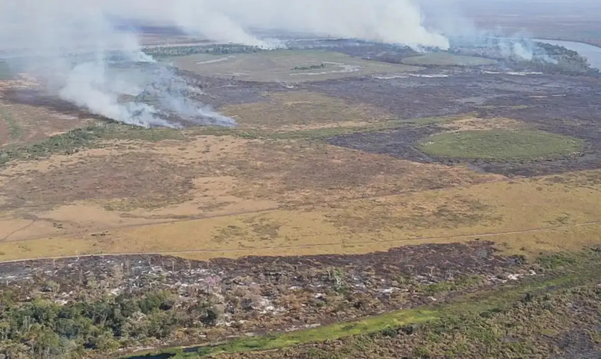 Suspeitos de incêndio criminoso no Pantanal que causou prejuízo de R$ 220 milhões são alvo de Operação da PF