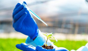 Contra a seca: startup aposta em produtos à base da biodiversidade brasileira 