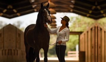 Cavalo Mangalarga Marchador Teorema da Morada Nova - Com Cristiana Gutierrez