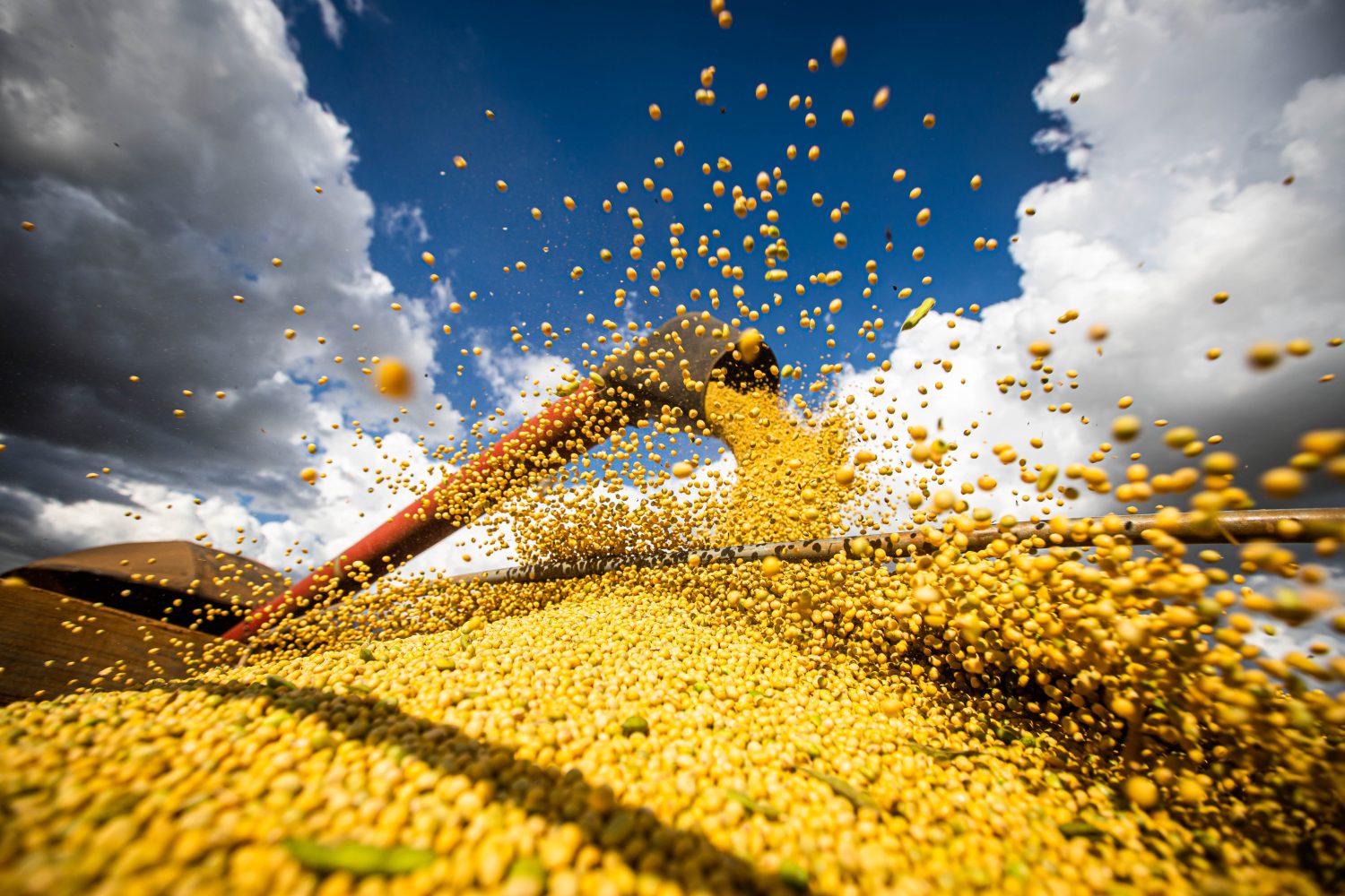 Clima é o fator decisivo para a produtividade e qualidade na produção de grãos