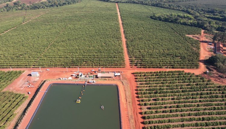 Gigantes da citricultura vao irrigar 2400 hectares