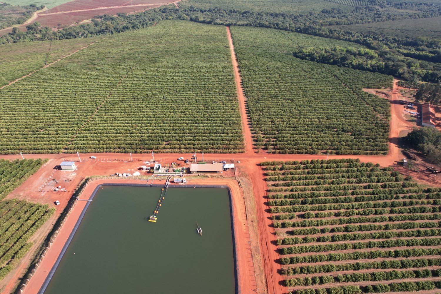 Gigantes da citricultura vao irrigar 2400 hectares