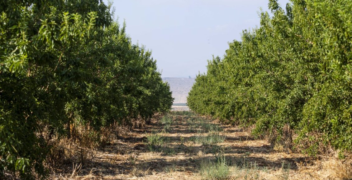 Empresa habilita agricultores para o Mercado de carbono