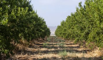 Empresa habilita agricultores para o Mercado de carbono