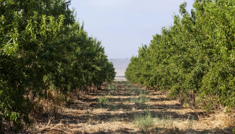 Empresa habilita agricultores para o Mercado de carbono