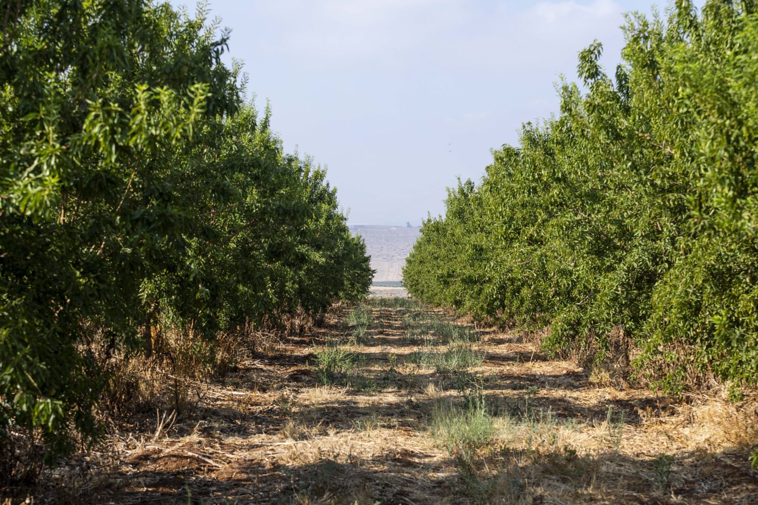 Empresa habilita agricultores para o Mercado de carbono