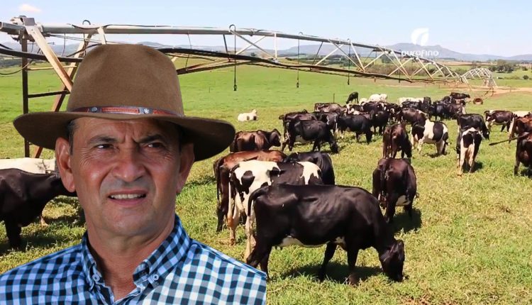 Sistema pode aumentar a producao de vacas em ate 10 litros de leite