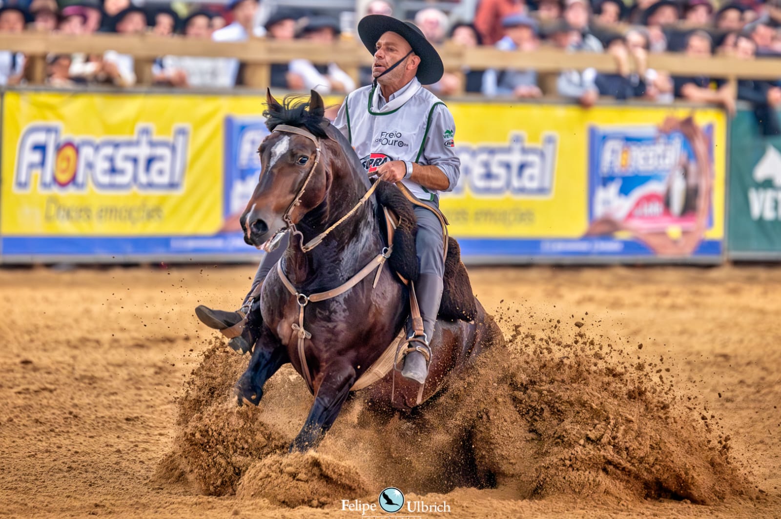 Jalisco da Gap São Pedro é o Grande Campeão do Freio de Ouro