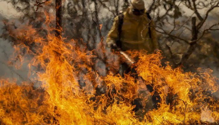 bombeiro tentando apagar incendio florestal