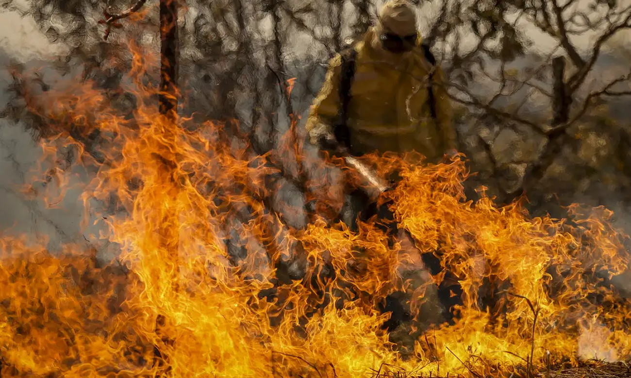 bombeiro tentando apagar incendio florestal