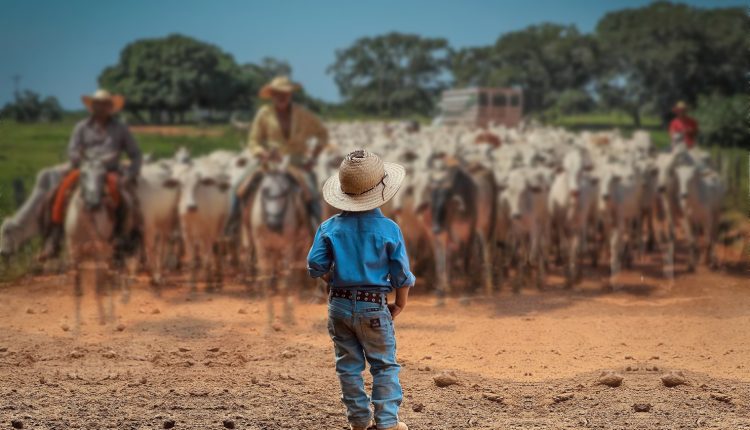 como sera a pecuaria do futuro