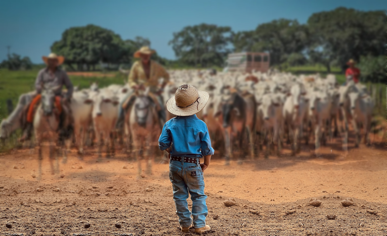 Qual o futuro da pecuária no Brasil?