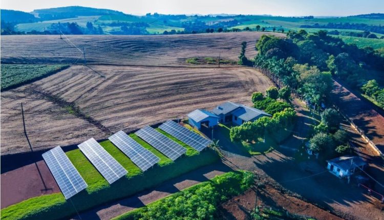 Energia limpa é usada na produção de 57% do volume de aves da BRF