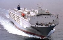 Brasil busca acabar com monopólio da Austrália na exportação de gado vivo para a Indonésia; os dois países assinaram um memorando de entendimento com um plano para importar 100.000 cabeças de gado leiteiro tropical brasileiro