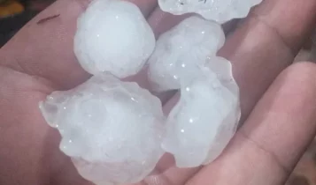 Granizo atinge lavouras de soja e milho no PR e cooperativas levantam prejuízos