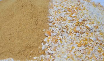 Colômbia vai comprar grãos secos de destilaria do Brasil