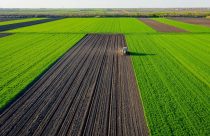 BrasilAgro (AGRO3) reduz prejuízo operacional a R$ 10,8 mi e fecha 4T24 com lucro de R$ 232,8 mi