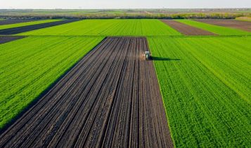 BrasilAgro (AGRO3) reduz prejuízo operacional a R$ 10,8 mi e fecha 4T24 com lucro de R$ 232,8 mi