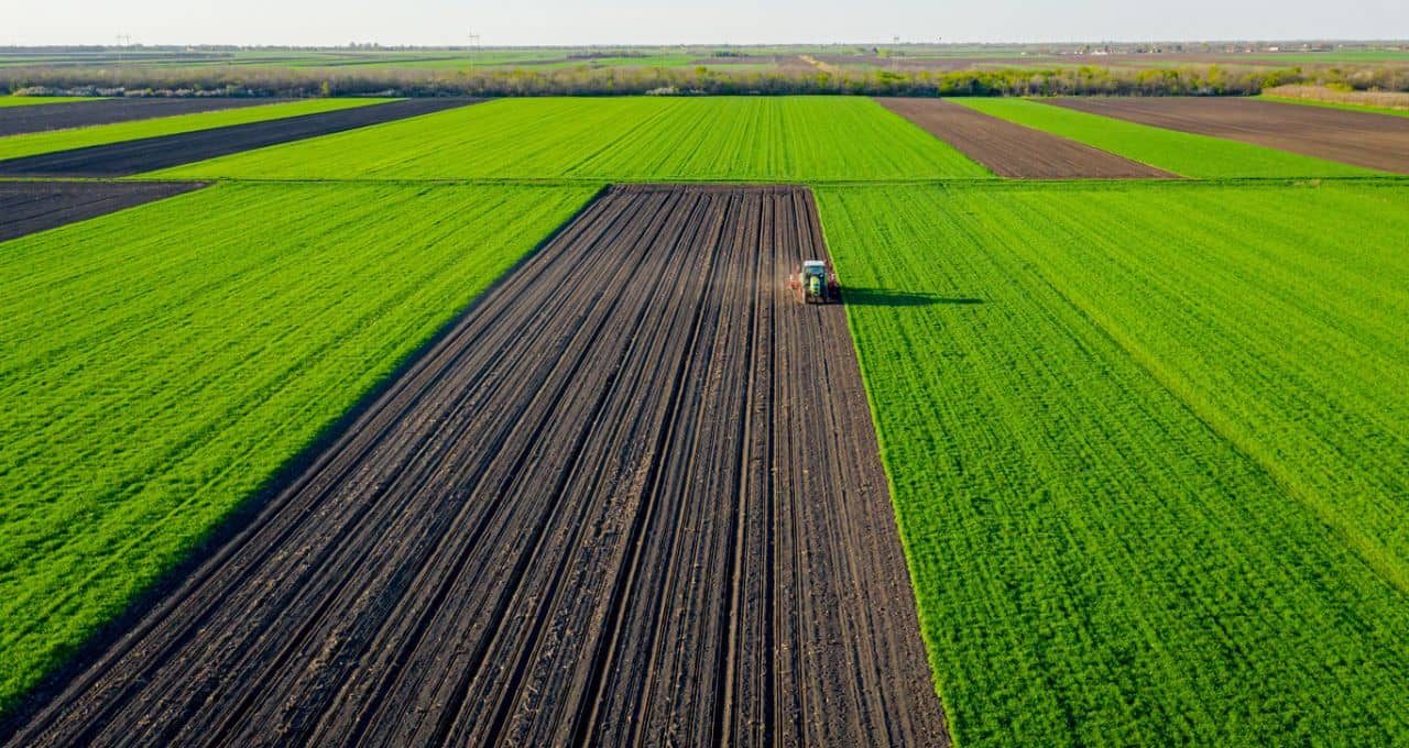 BrasilAgro (AGRO3) reduz prejuízo operacional a R$ 10,8 mi e fecha 4T24 com lucro de R$ 232,8 mi