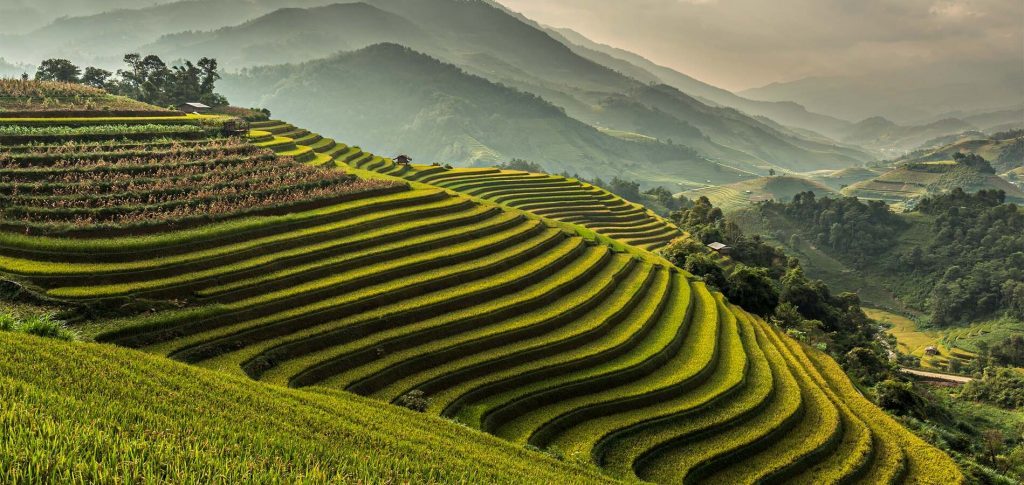 Terraceamento: como a técnica milenar impulsiona a agricultura sustentável no Brasil?