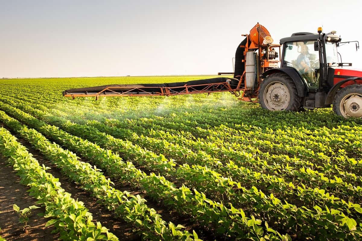 Biofungicidas multissítios ganham espaço devido a elevada eficácia e boa relação custo-benefício