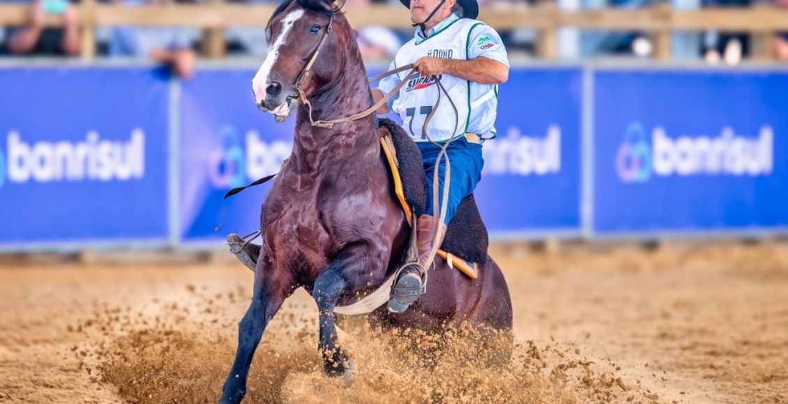 Conheça o novo cavalo mais caro do Brasil surpreende com valor inimaginável