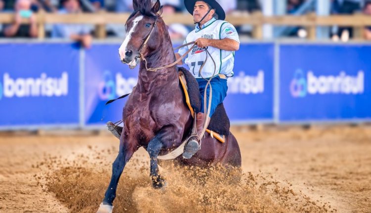 Conheça o novo cavalo mais caro do Brasil surpreende com valor inimaginável