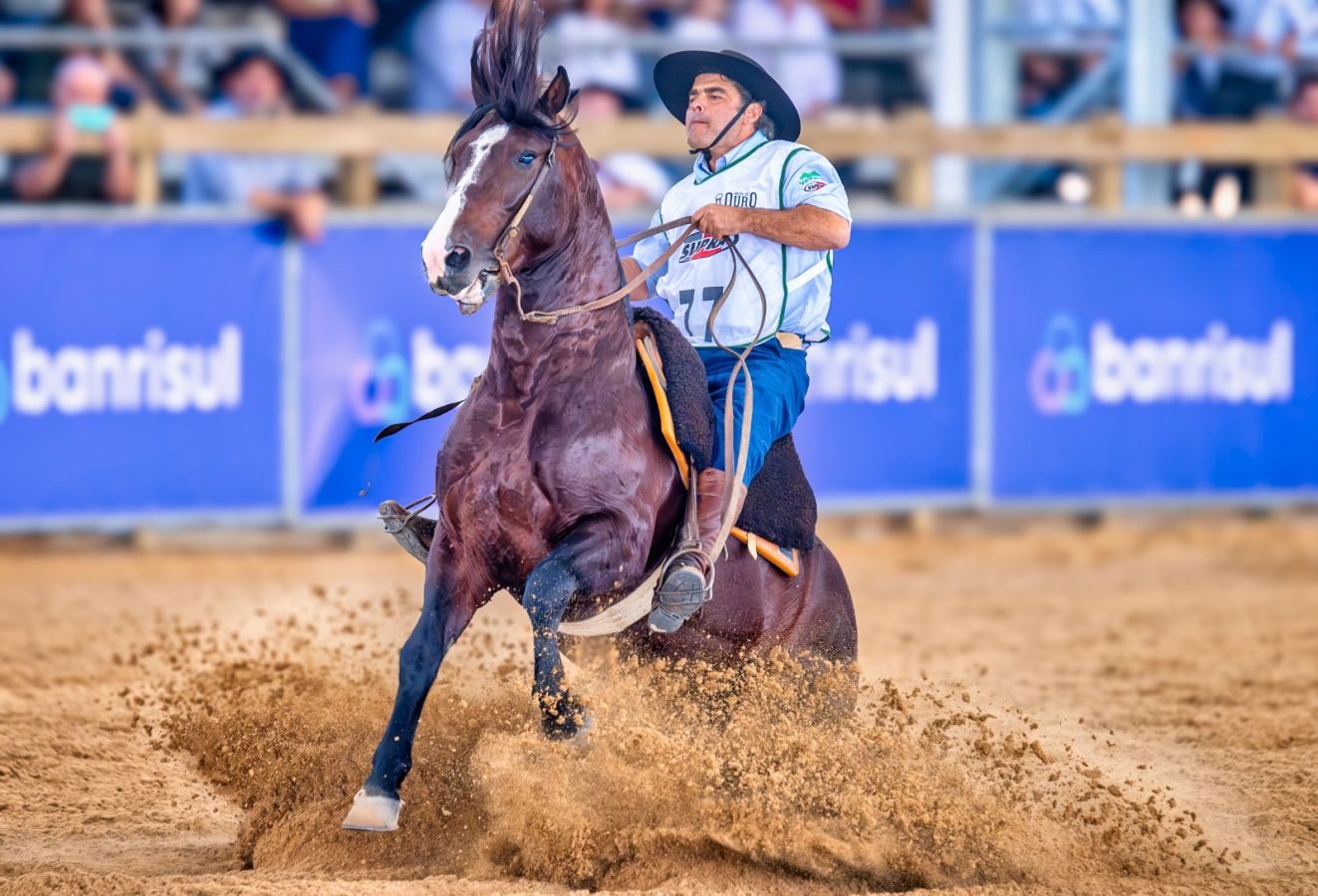 Conheça o novo cavalo mais caro do Brasil